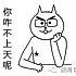  哈喽啊 尛兜