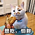 章鱼烧Yumiko
