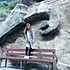 豆粉3017341818