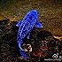 公主格格