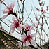 丿絲丶言.lin