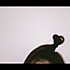 非离eylp