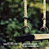 NG_baby