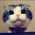 Little_me9
