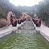 冰红茶38