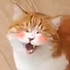 心的愿望1