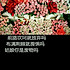 曦兒小瓶盖儿