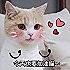今天也要加油喵