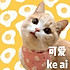 Pekingcat