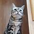 立冬冬
