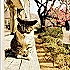 没有酸奶