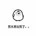 兽医汪老喵