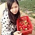 小潴萍