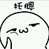 大笨猪头