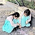 层林青岚
