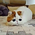 暖