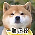 我是小伦子呀