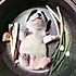 大胖的小壮