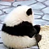 干脆面君_