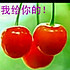 过往的幸福