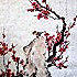 笑傲霜雪