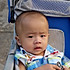 lpchao1988