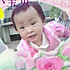 杜鹃花Li