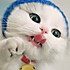 招财猫