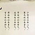 逆风光辉