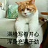 糟菜啊