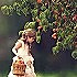陌上花开gpjm