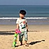 莲