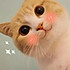 炭炭蘇