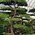 一见钟情4