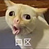 冻柠茶y