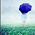 雨荷wqy