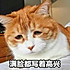 衔着火焰的天鹅