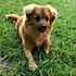 ammy0039
