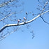 春暖花开111