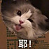 热爱马里奥