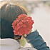 Aries`