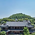 麦加dloc