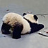 瓦尔登湖的湖