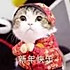 芝士年糕wrvp