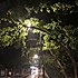 Elga郭