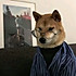 乌鸡哥