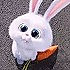Rabbit0728