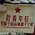 红烧鸡翅我喜欢吃