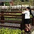 只想你会意