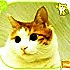 melody